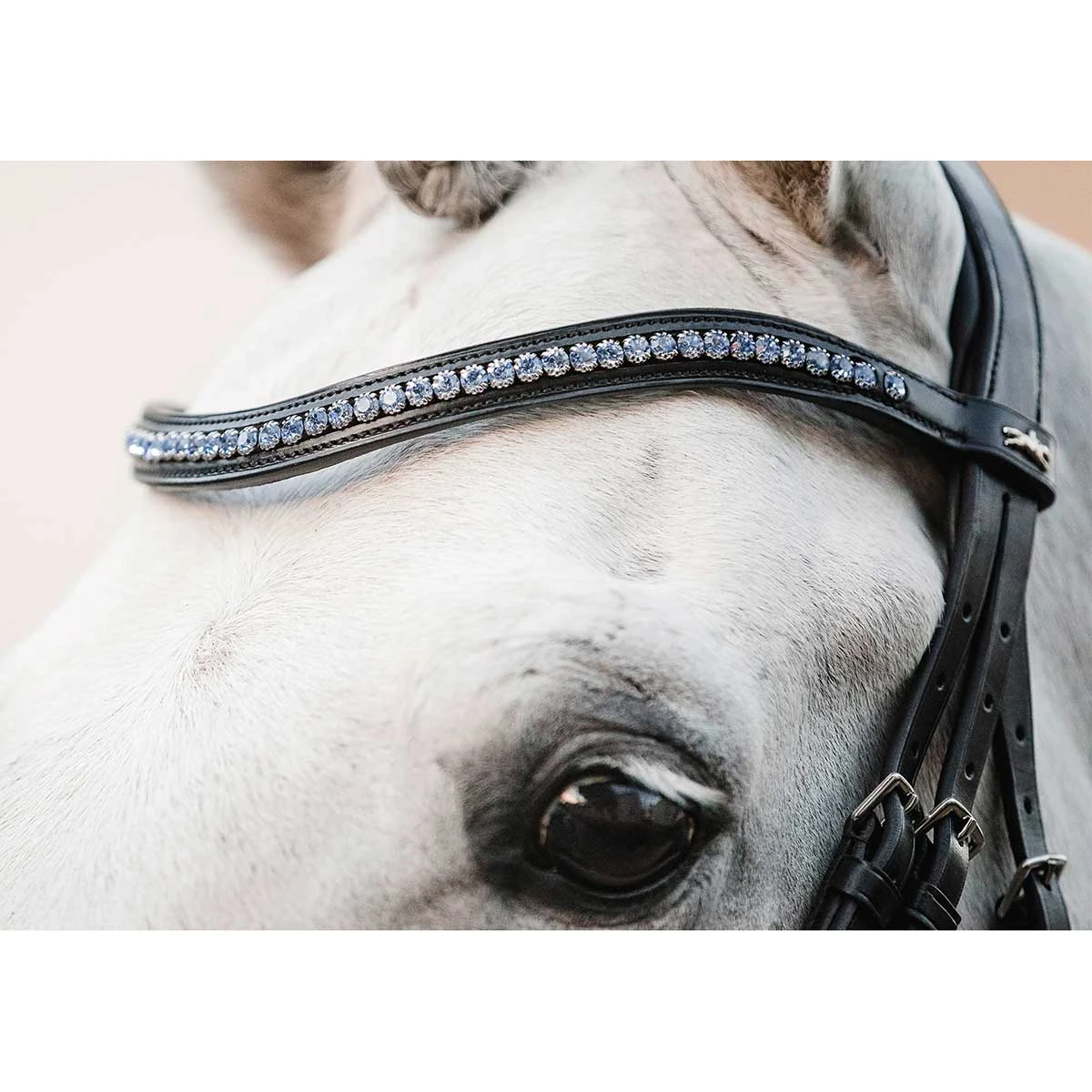Schockemohle Select And Mix Diamond Browband 2 Schockemohle Select And Mix Diamond Browband - Image 2