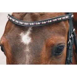 Schockemohle Select And Mix Diamond Browband 7 Schockemohle Select And Mix Diamond Browband -Absor Care Horse Shop 1102 00079 c1157
