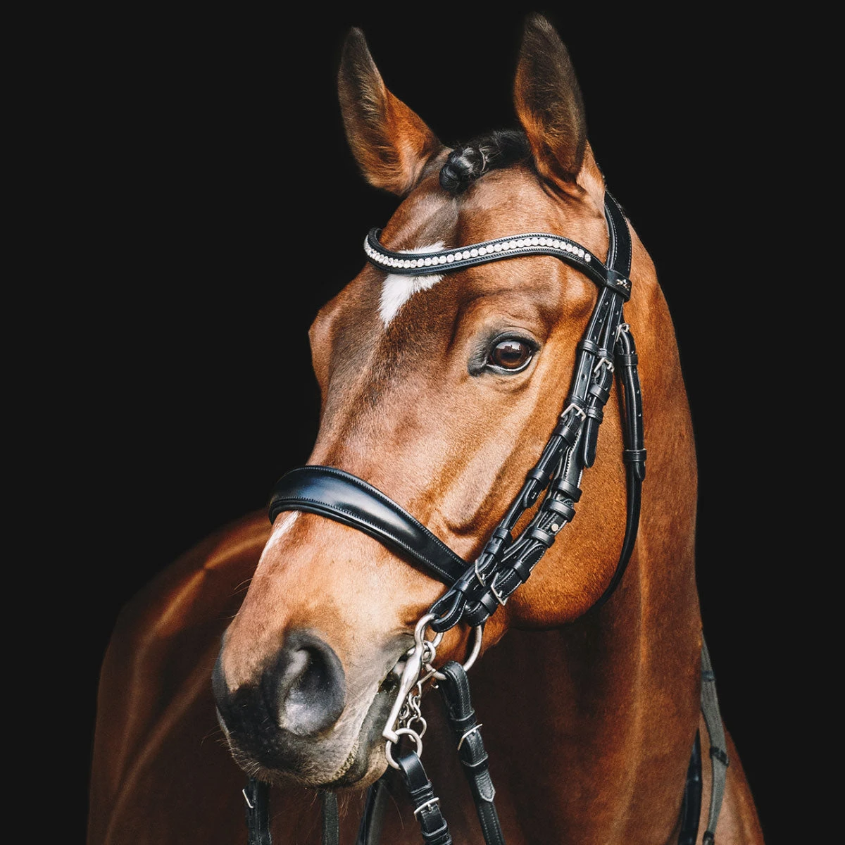 Schockemohle Equitus Gamma Anatomic Dressage Double Bridle 1 Schockemohle Equitus Gamma Anatomic Dressage Double Bridle