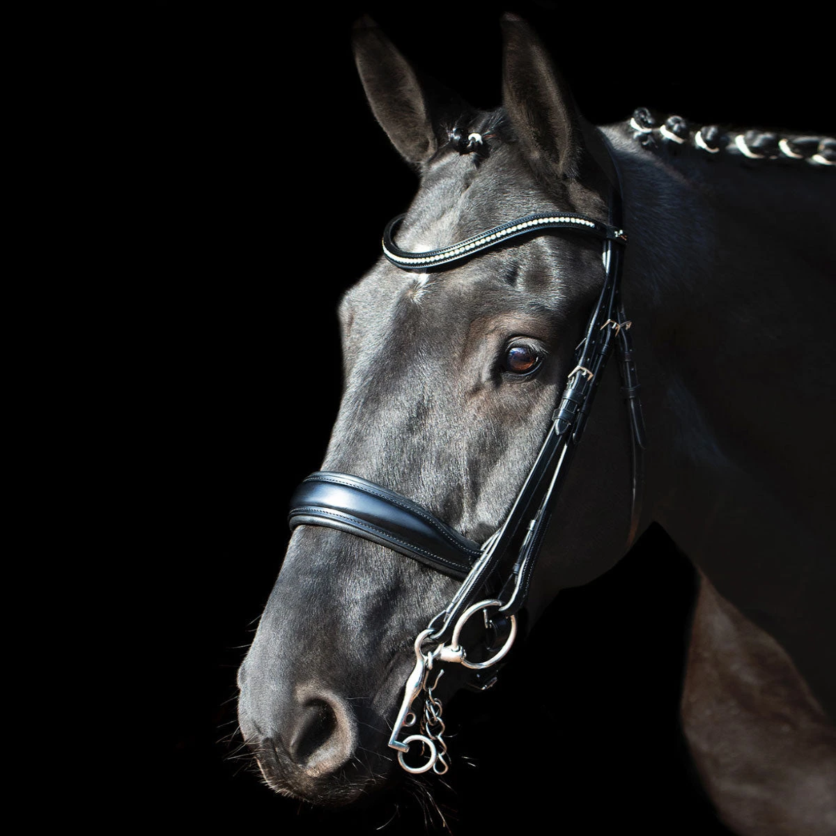 Schockemohle Milan Anatomic Dressage Double Bridle 1 Schockemohle Milan Anatomic Dressage Double Bridle