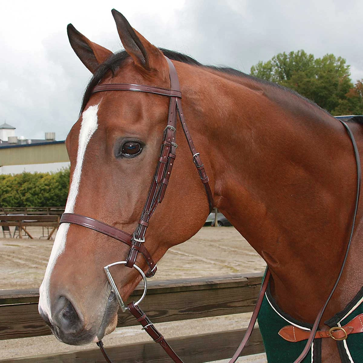 Tory English Bridle Flat Hunt With Plain Reins 1 Tory English Bridle Flat Hunt With Plain Reins