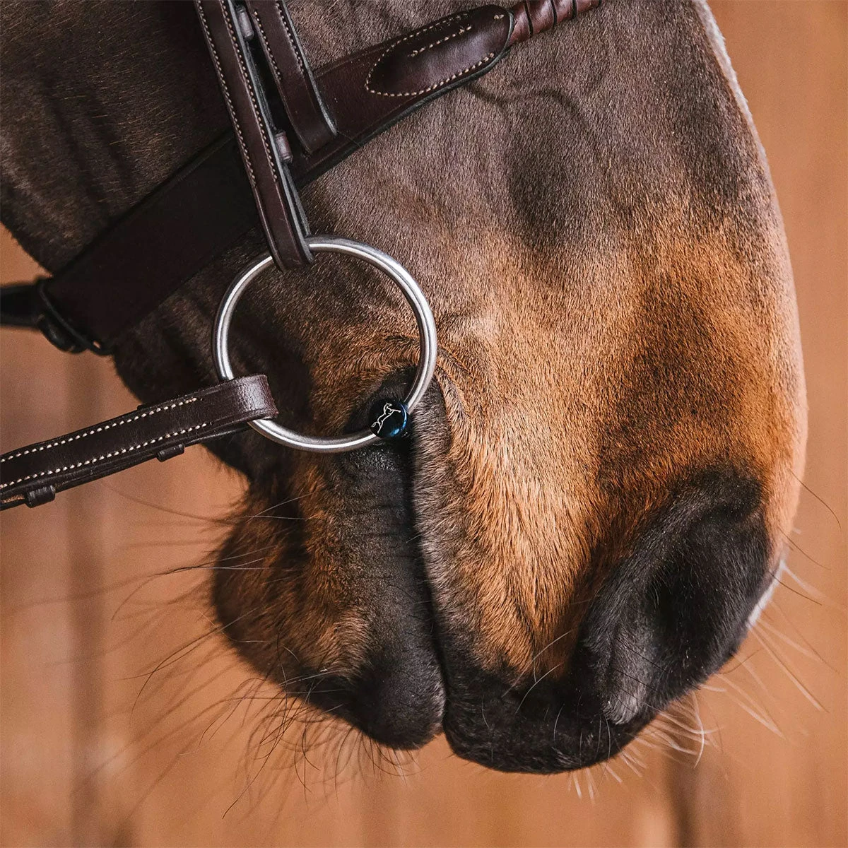 Fager Bianca Titanium Loose Ring Bit - Test Ride Bit 2 Fager Bianca Titanium Loose Ring Bit - Test Ride Bit - Image 2