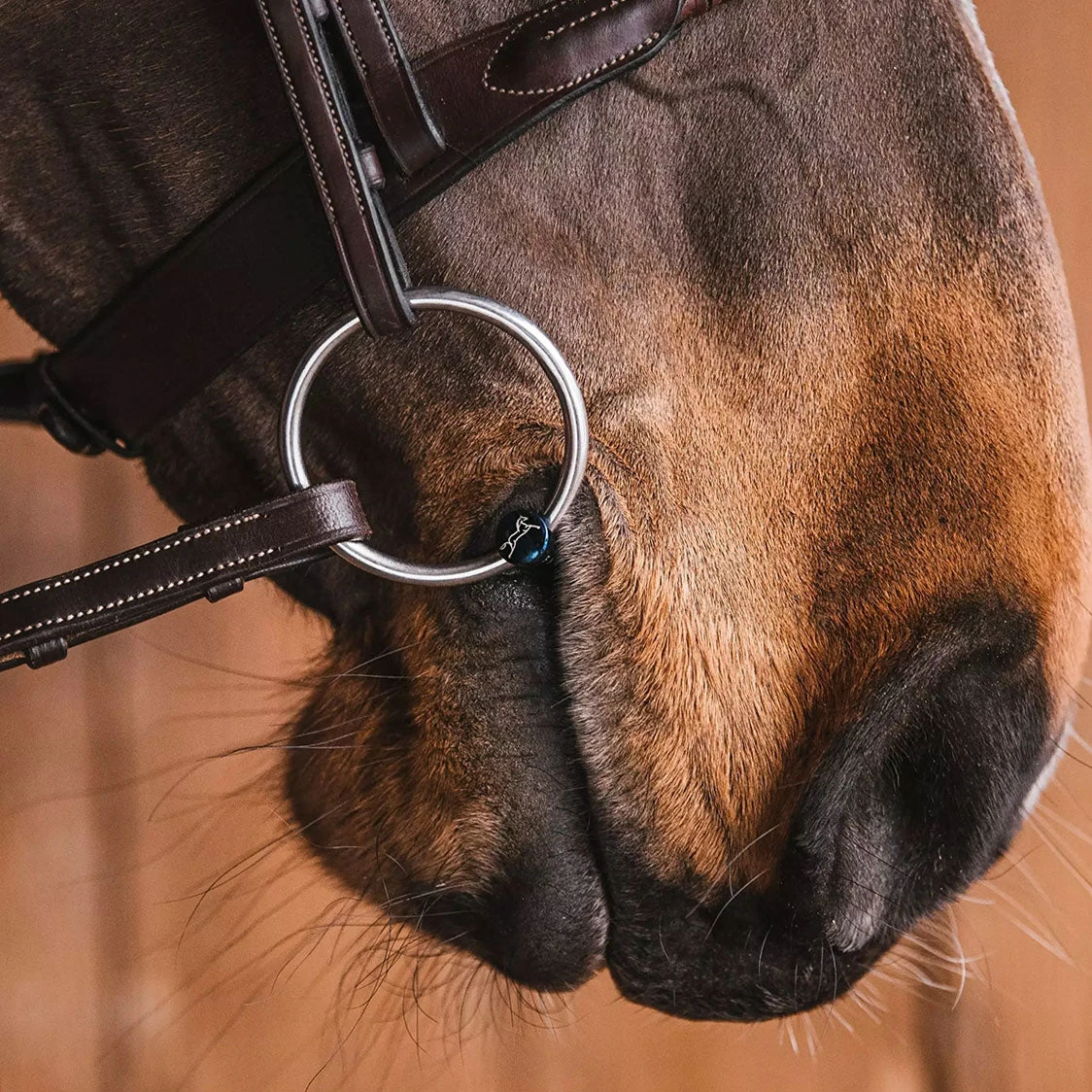 Fager Carl Titanium Loose Ring Bit - Test Ride Bit 2 Fager Carl Titanium Loose Ring Bit - Test Ride Bit - Image 2