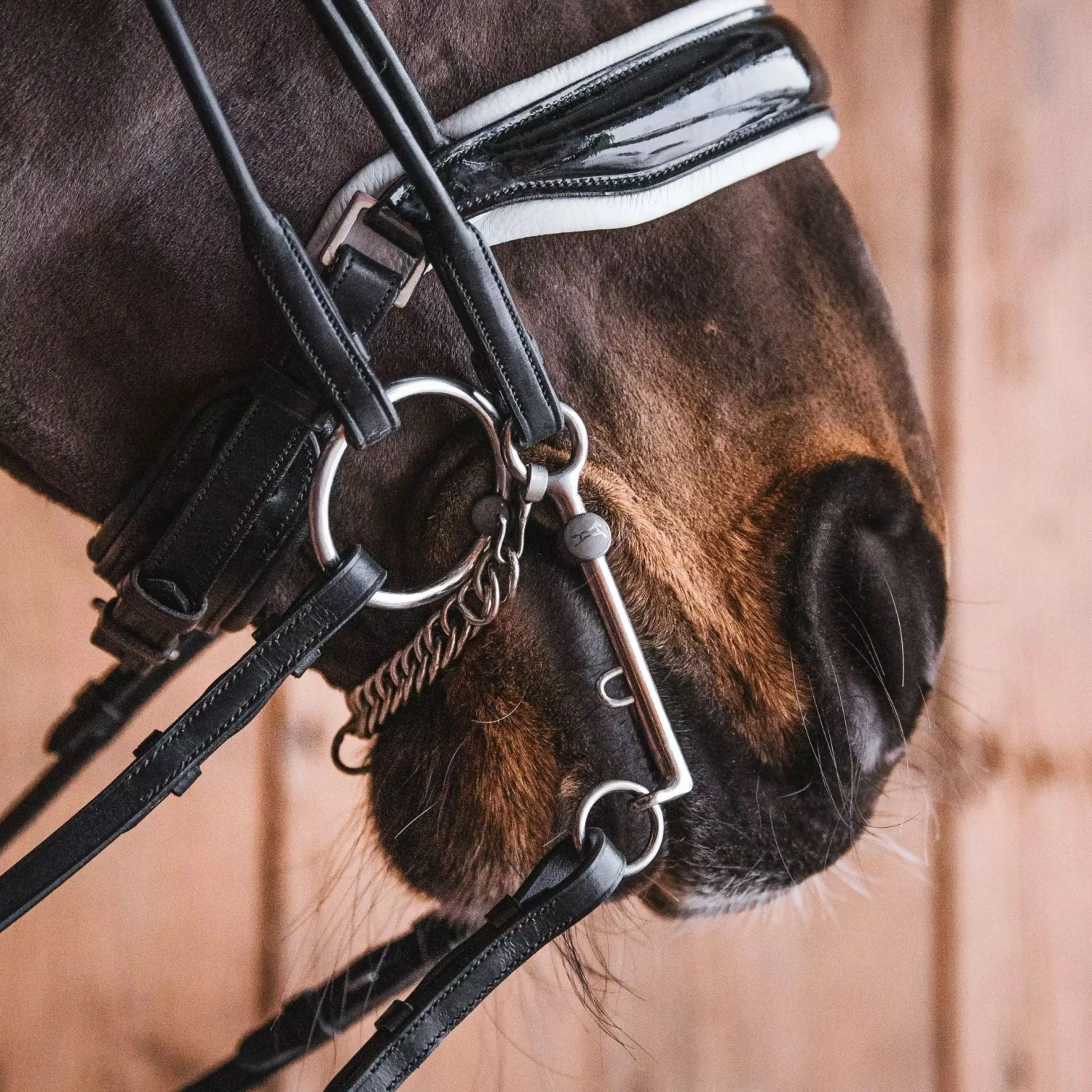 Fager Elisabeth Titanium Weymouth Bit - 70mm Shank - Test Ride Bit 2 Fager Elisabeth Titanium Weymouth Bit - 70mm Shank - Test Ride Bit - Image 2