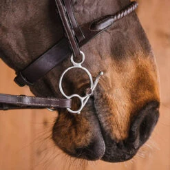 Fager Gustav Sweet Iron Universal Baby Fulmer Bit - Test Ride Bit 9 Fager Gustav Sweet Iron Universal Baby Fulmer Bit - Test Ride Bit -Absor Care Horse Shop 22gust u 4