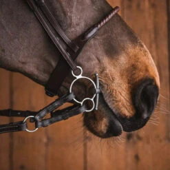 Fager Gustav Sweet Iron Universal Baby Fulmer Bit - Test Ride Bit 8 Fager Gustav Sweet Iron Universal Baby Fulmer Bit - Test Ride Bit -Absor Care Horse Shop 22gust u 5