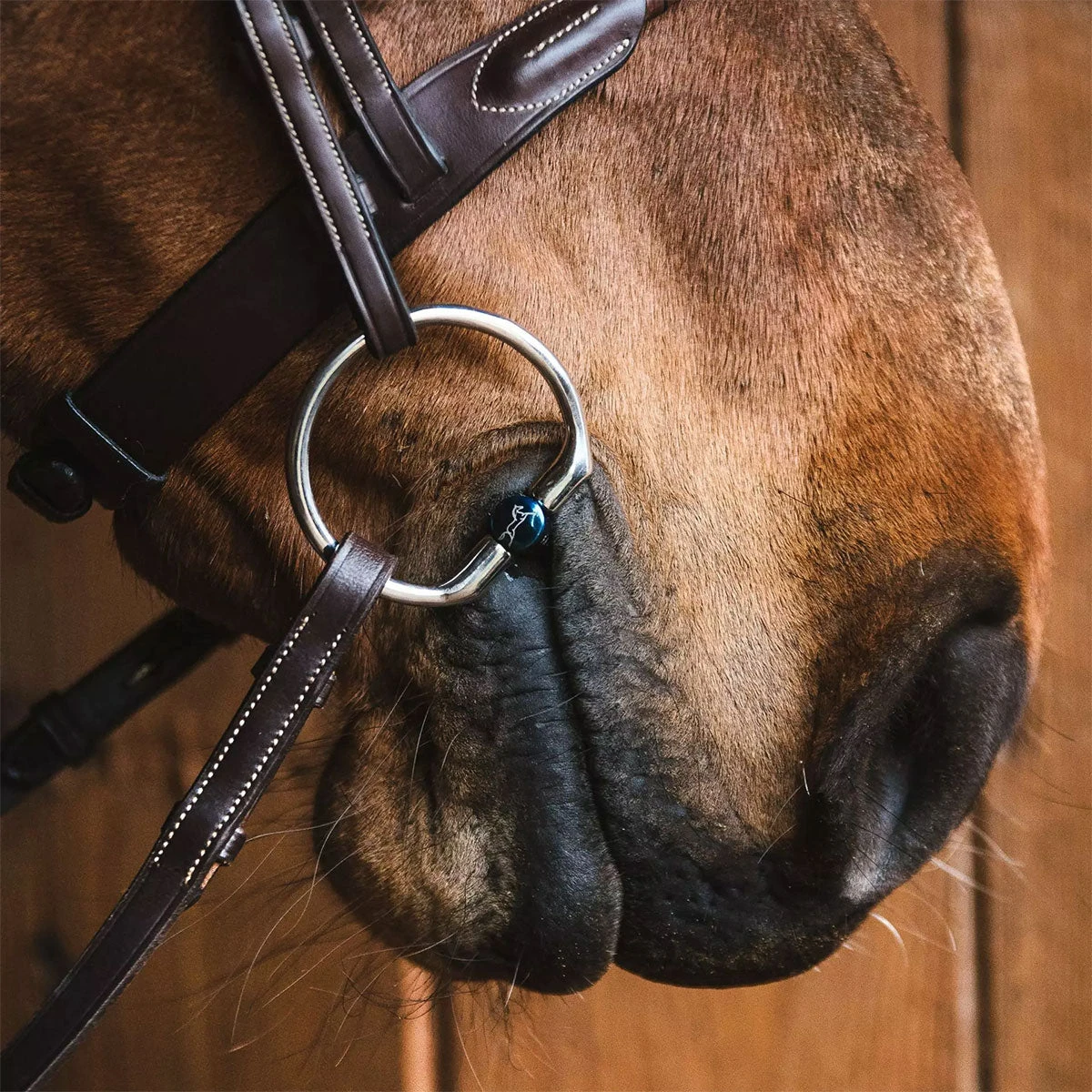 Fager Oscar Titanium Fixed Ring Bit - Test Ride Bit 2 Fager Oscar Titanium Fixed Ring Bit - Test Ride Bit - Image 2