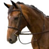 M Toulouse Novice Fancy Stitched Hunter Bridle