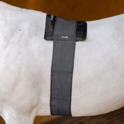 Absor Care Horse Shop 7 EquiFit GelCompression BackPack