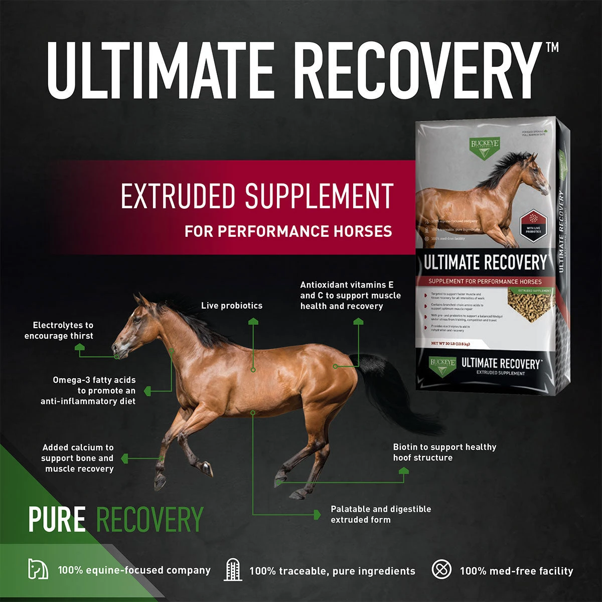 Buckeye Nutrition Ultimate Recovery 30 Lb 2 Buckeye Nutrition Ultimate Recovery 30 Lb - Image 2