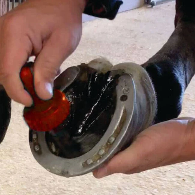 Hoof Doctor Natural Hoof Repair Dressing - Gallon 2 Hoof Doctor Natural Hoof Repair Dressing - Gallon - Image 2