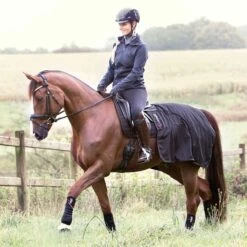 Catago FIR-Tech Therapy Quarter Sheet 5 Catago FIR-Tech Therapy Quarter Sheet -Absor Care Horse Shop 471030 c1105 f0f7ac46 ab0e 4666 b1aa a01a8c40c676