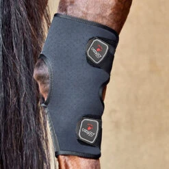 Absor Care Horse Shop -Absor Care Horse Shop 471304 c1105