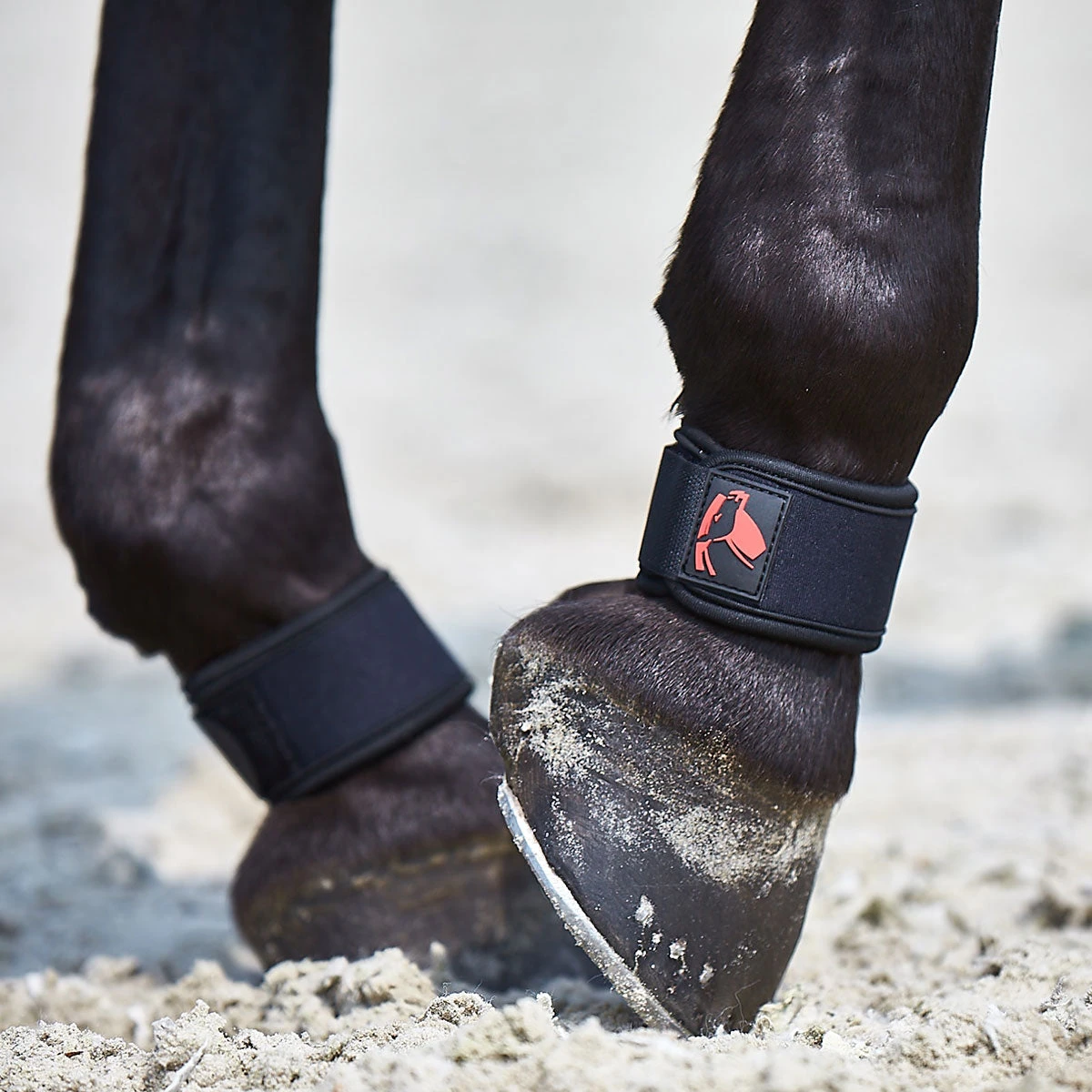 Catago Fir-Tech Pastern Wrap Pair 2 Catago Fir-Tech Pastern Wrap Pair - Image 2