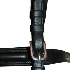 Ovation Dressage Bridle With Comfort Crown 5 Ovation Dressage Bridle With Comfort Crown -Absor Care Horse Shop 475068 2
