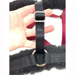 GreenGuard Fleece Converter Set For Standard Halter 7 GreenGuard Fleece Converter Set For Standard Halter -Absor Care Horse Shop 61374 f 4