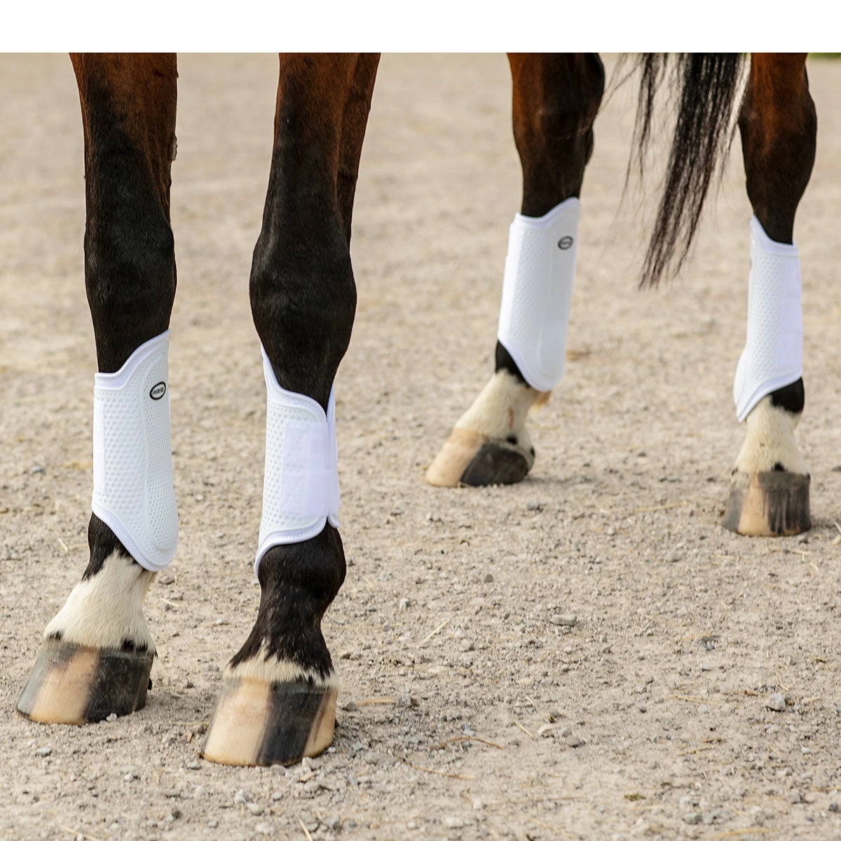 Country Pride Pro Mesh Sport Boots 5 Country Pride Pro Mesh Sport Boots - Image 5