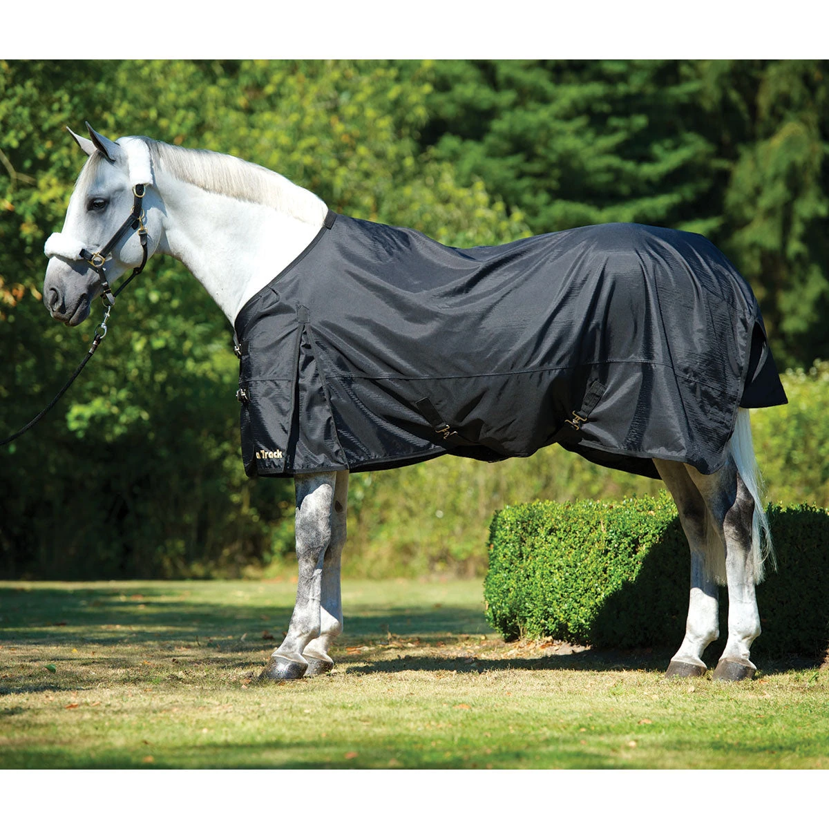 Absor Care Horse Shop 18 Absor Care Horse Shop -Absor Care Horse Shop 7861c 1