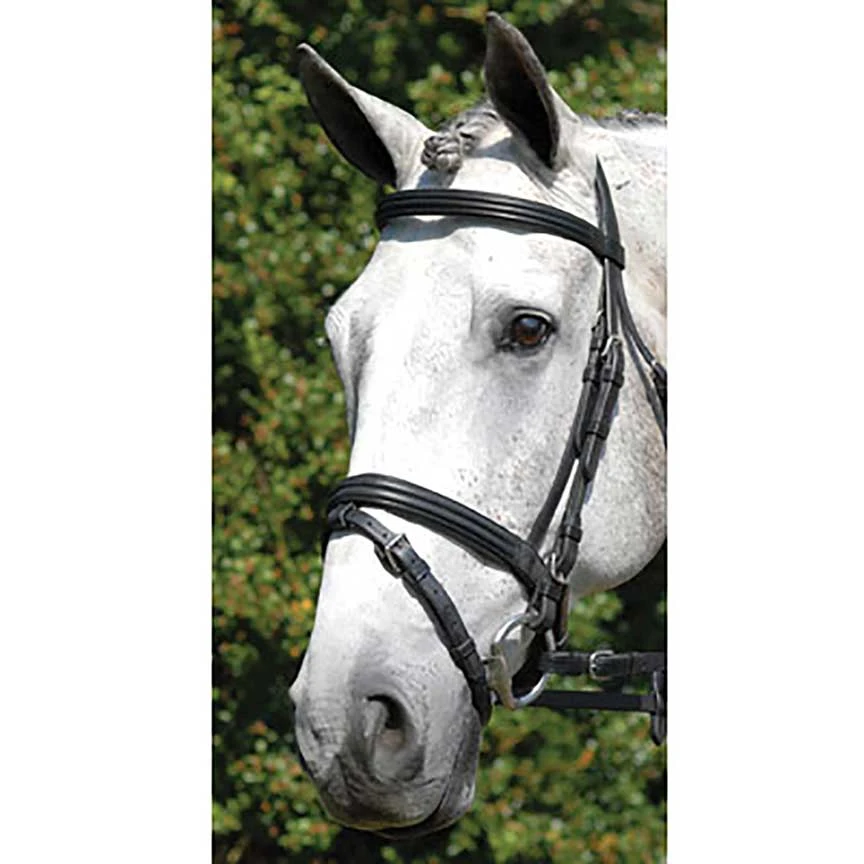 Vespucci Double Raised Dressage Snaffle Bridle 2 Vespucci Double Raised Dressage Snaffle Bridle - Image 2
