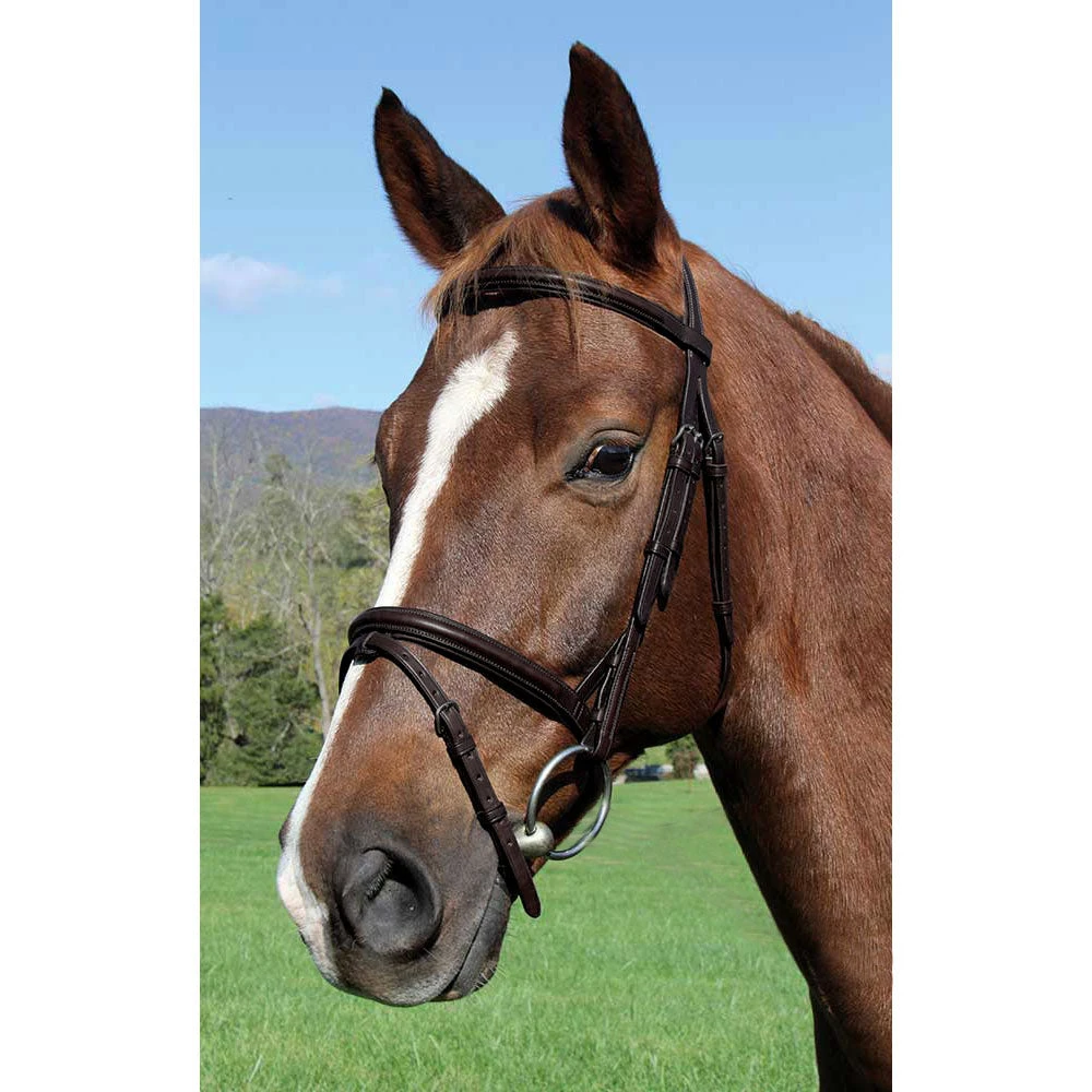 Vespucci Plain Raised English Bridle Brown 1 Vespucci Plain Raised English Bridle Brown