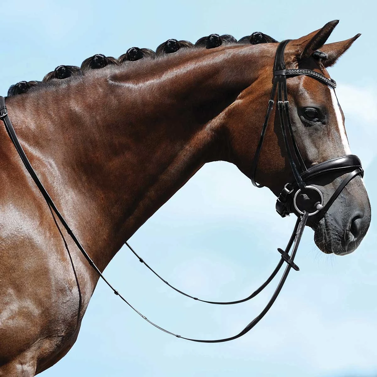 Passier Fortuna Dressage Bridle Horse Size 2 Passier Fortuna Dressage Bridle Horse Size - Image 2