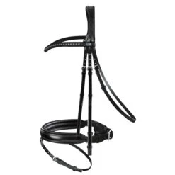 Passier Fortuna Dressage Bridle Horse Size