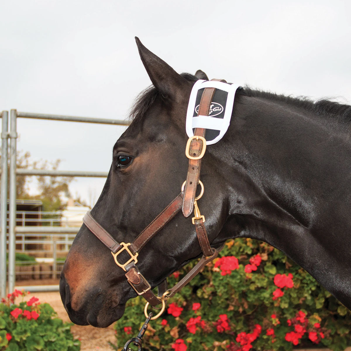 Professionals Choice Magnetic Poll Piece 1 Professionals Choice Magnetic Poll Piece