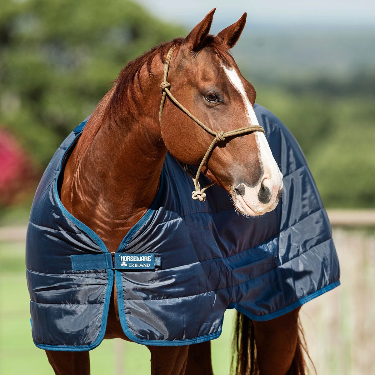 Horseware Ireland Horseware Blanket Liner 200g 4 Horseware Ireland Horseware Blanket Liner 200g - Image 4