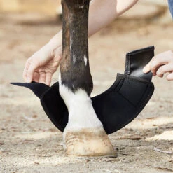 BSB Bell Sport Boots 17 BSB Bell Sport Boots -Absor Care Horse Shop bsb c1105 alt1