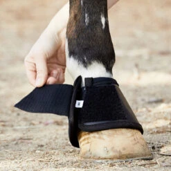 BSB Bell Sport Boots 16 BSB Bell Sport Boots -Absor Care Horse Shop bsb c1105 alt4