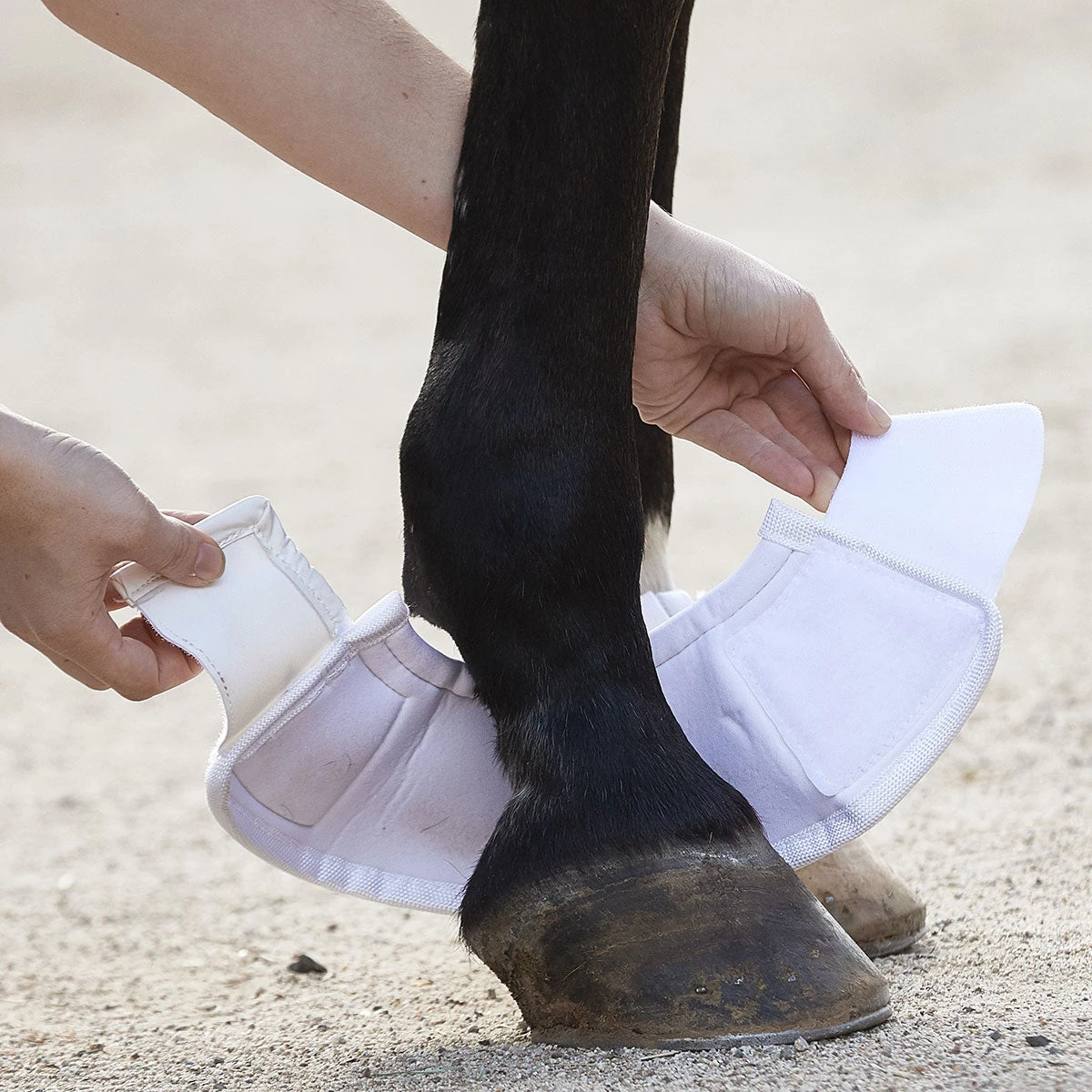 BSB Bell Sport Boots 5 BSB Bell Sport Boots - Image 5