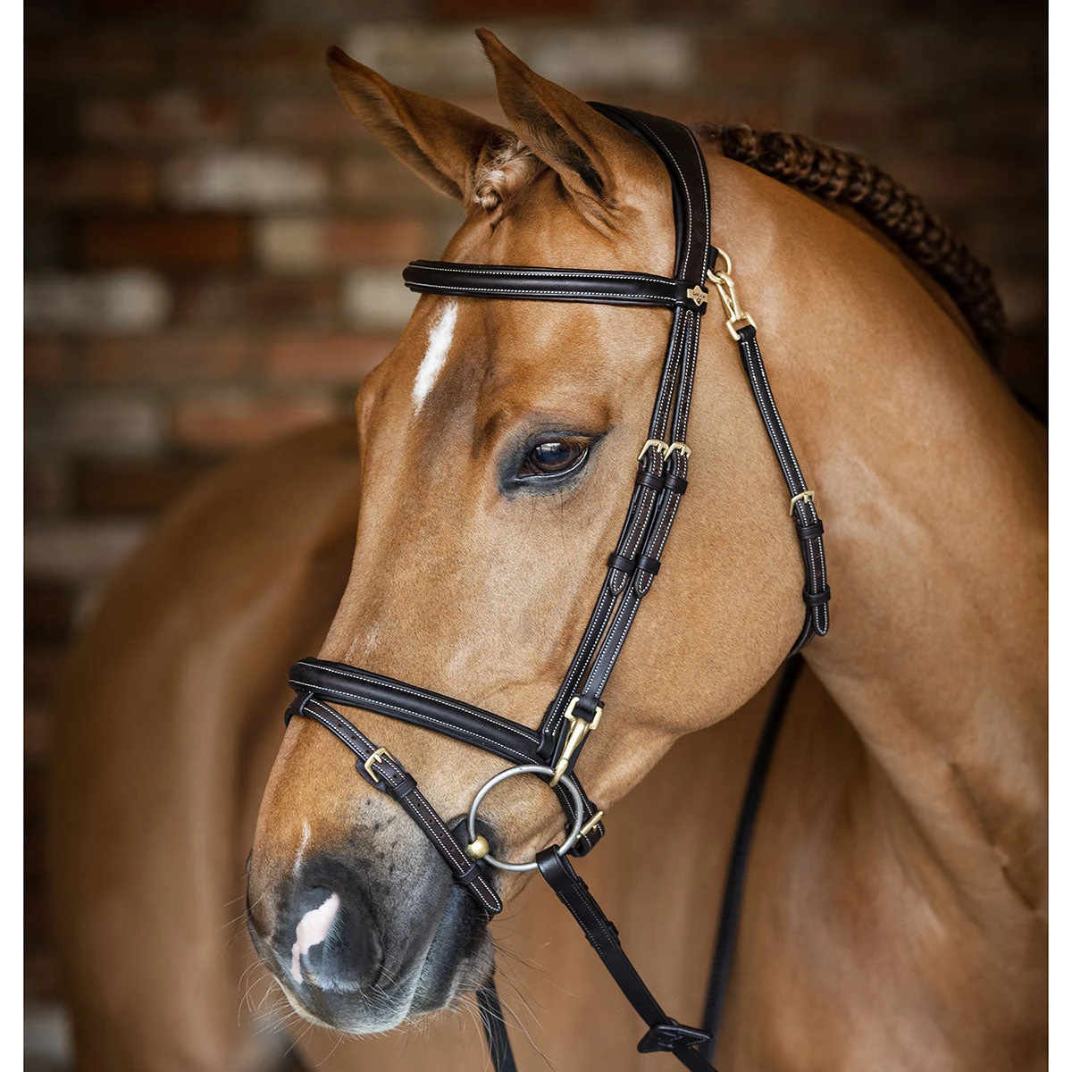 LeMieux Padded Anatomic Work Bridle 2 LeMieux Padded Anatomic Work Bridle - Image 2