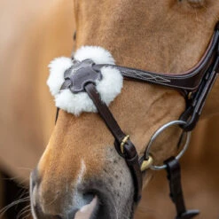 LeMieux Grackle Figure-8 Bridle 11 LeMieux Grackle Figure-8 Bridle -Absor Care Horse Shop it02644 1109 alt2
