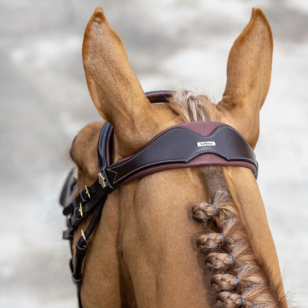 LeMieux Competition Flash Bridle 4 LeMieux Competition Flash Bridle - Image 4
