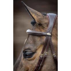 LeMieux Competition Flash Bridle 9 LeMieux Competition Flash Bridle -Absor Care Horse Shop it02645 c1109 alt3