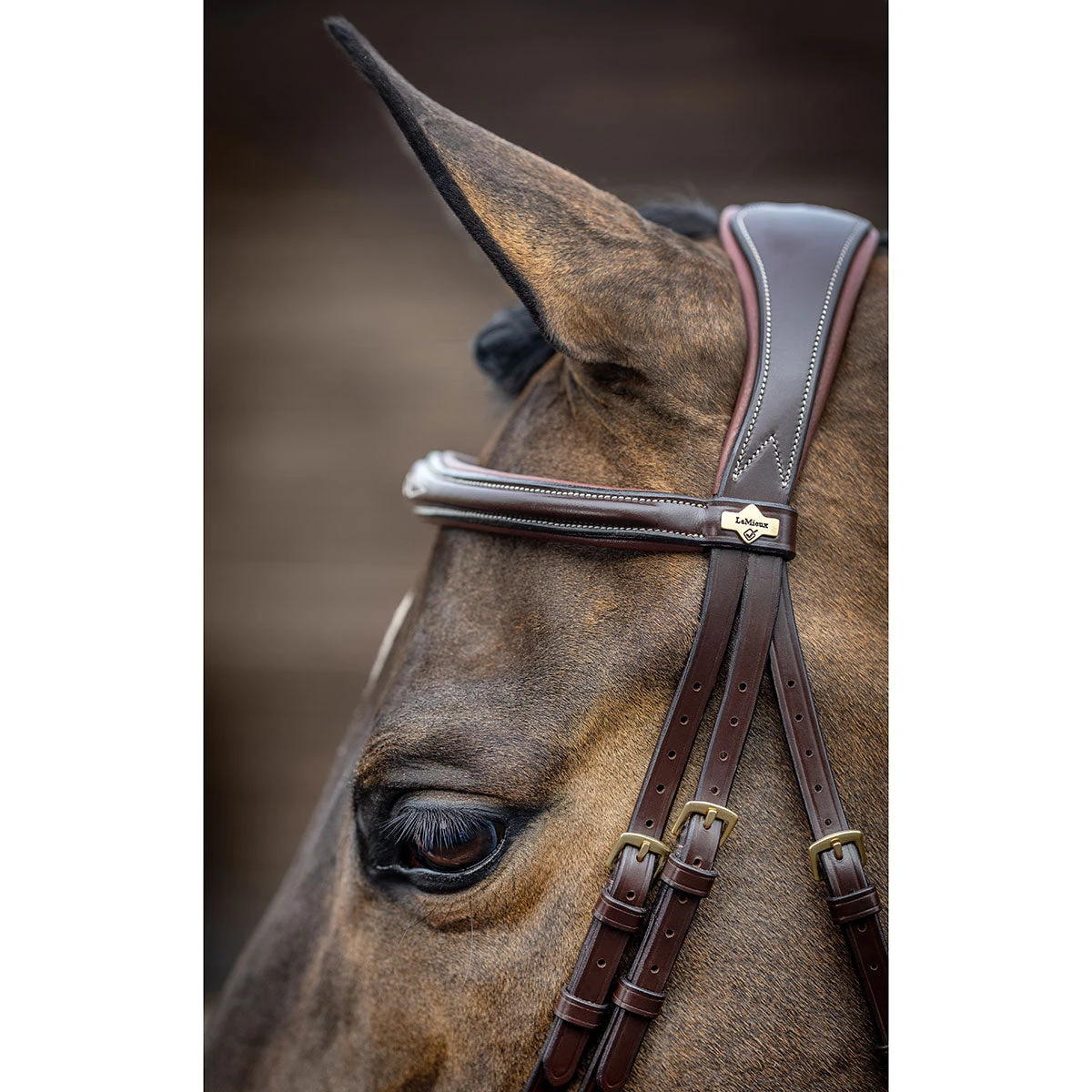 LeMieux Competition Flash Bridle 3 LeMieux Competition Flash Bridle - Image 3