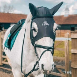 Absor Care Horse Shop 5 Fenwick Liquid Titanium Therapeutic Horse Mask With Ears