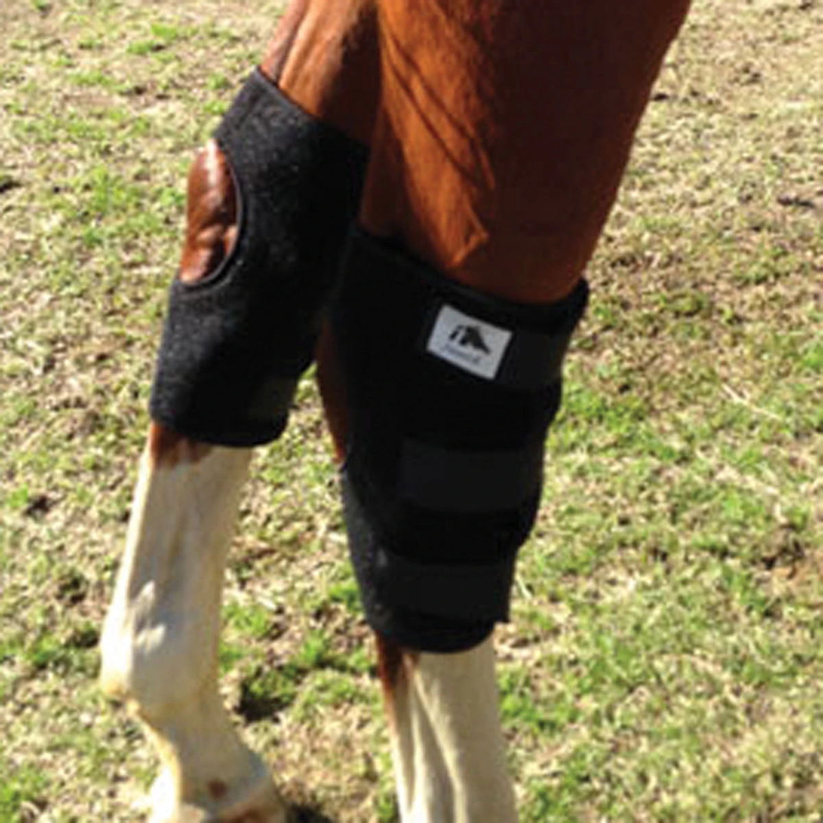 Fenwick Liquid Titanium Therapeutic Hock Boot - Pair 2 Fenwick Liquid Titanium Therapeutic Hock Boot - Pair - Image 2