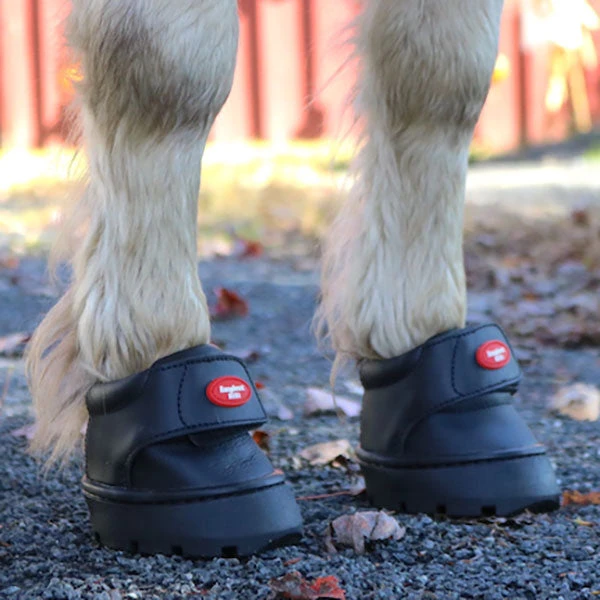 EasyCare Easyboot Mini 2 EasyCare Easyboot Mini - Image 2